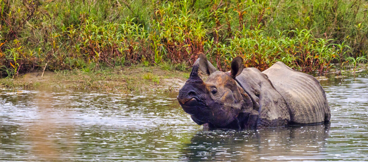 Nepal-Informationen – Alles über Nepal – Produkte – Bilder aus Nepal