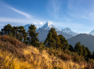 Annapurna Dakshin: Majestätischer Gipfel im Himalaya-Massiv
